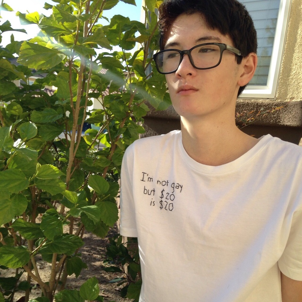 i’m not gay but $20 is $20 t shirt embroidered